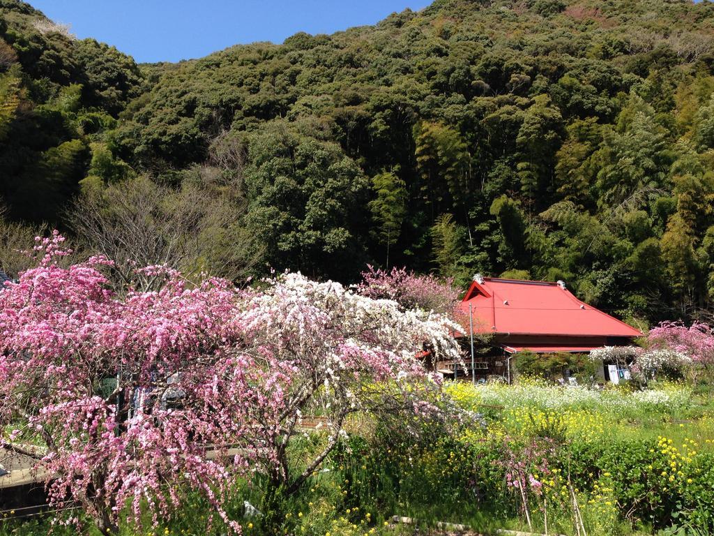Hareya Hotel Shimoda  Exterior foto