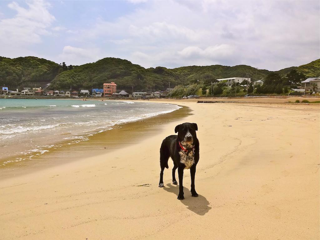 Hareya Hotel Shimoda  Exterior foto